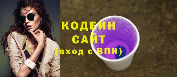 гашик Пересвет