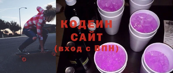 гашик Пересвет