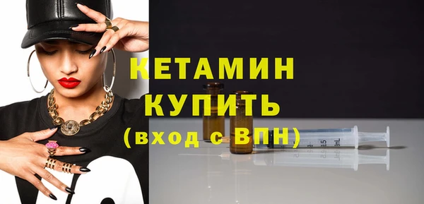 гашик Пересвет