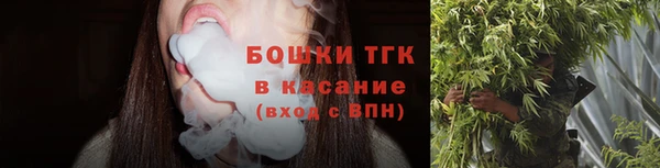 гашик Пересвет