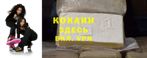 гашик Пересвет