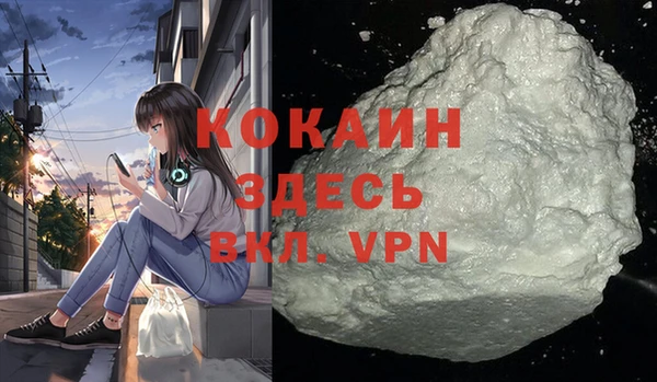 гашик Пересвет
