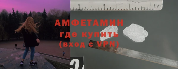 гашик Пересвет