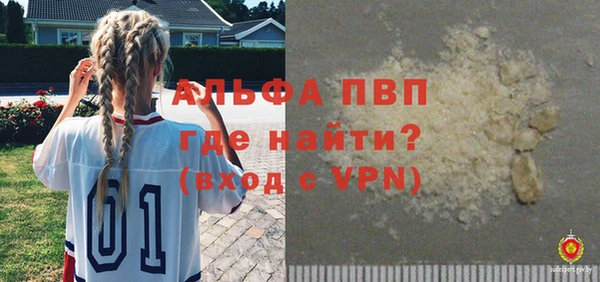 гашик Пересвет