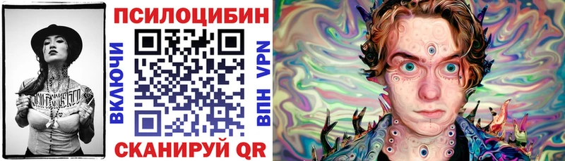 кракен ССЫЛКА  Находка  Псилоцибиновые грибы мицелий 