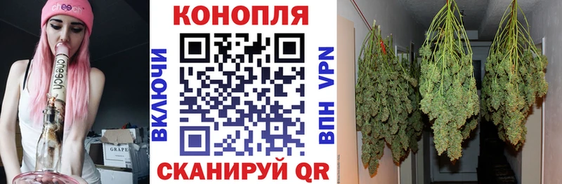 Каннабис SATIVA & INDICA  что такое   Находка 